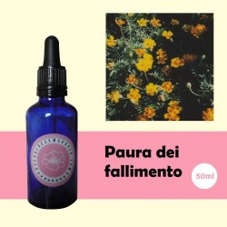 Paura del fallimento